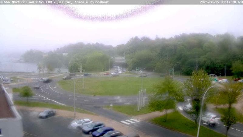 Armdale Roundabout 1