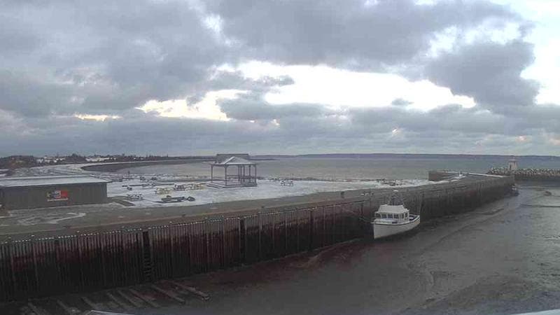 Belliveau Cove Harbour