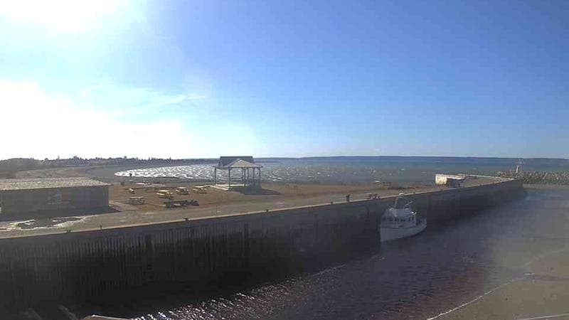 Belliveau Cove Harbour