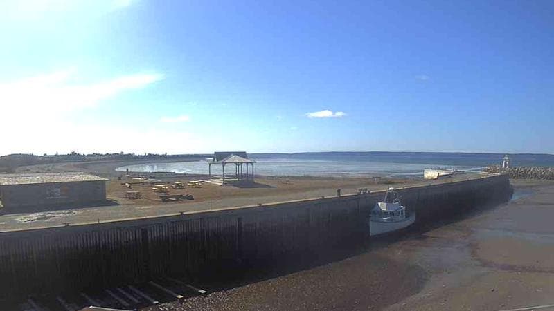 Belliveau Cove Harbour