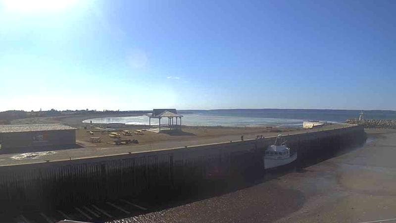 Belliveau Cove Harbour