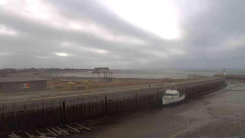Belliveau Cove Harbour