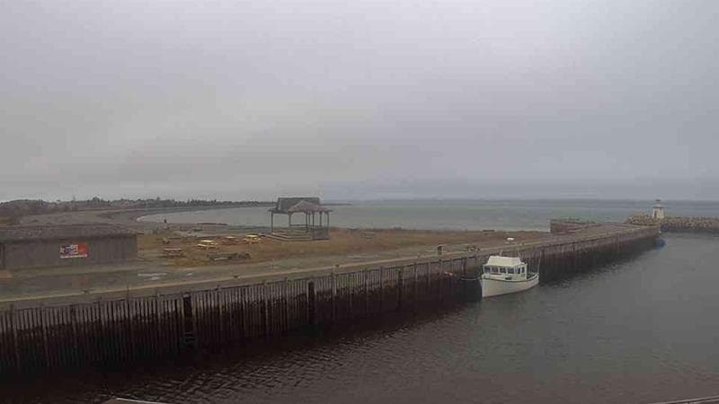 Belliveau Cove Harbour