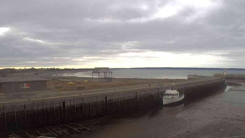 Belliveau Cove Harbour