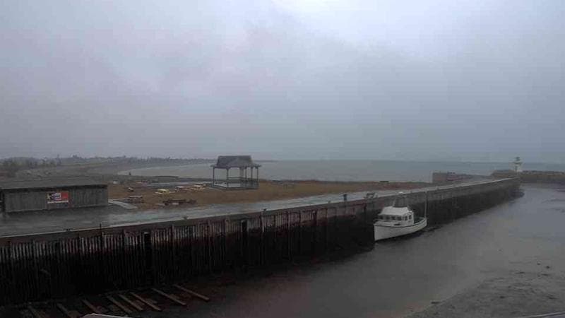 Belliveau Cove Harbour