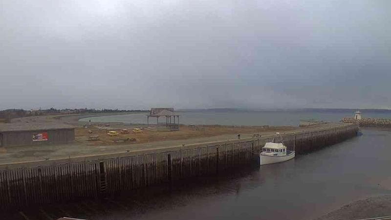Belliveau Cove Harbour