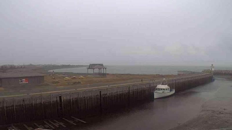 Belliveau Cove Harbour