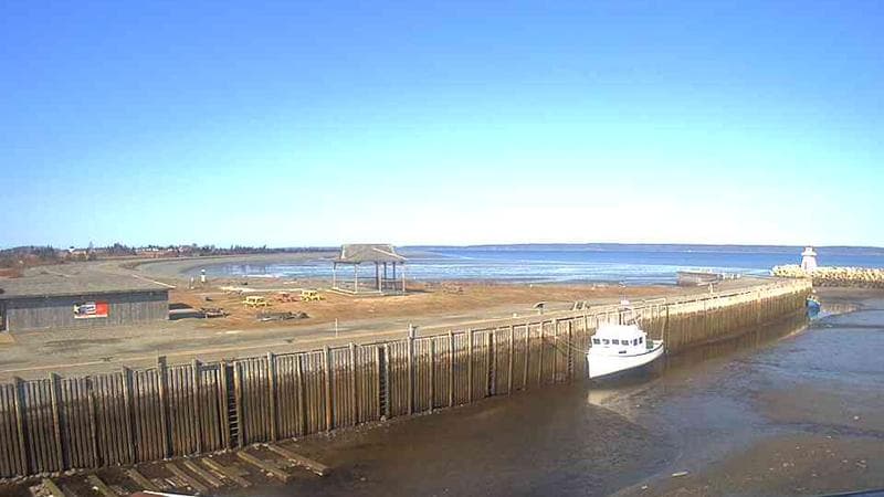 Belliveau Cove Harbour