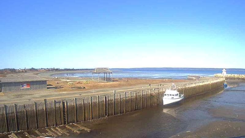 Belliveau Cove Harbour