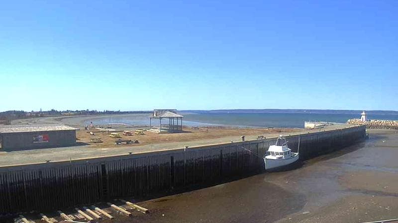 Belliveau Cove Harbour