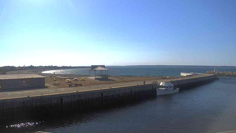 Belliveau Cove Harbour