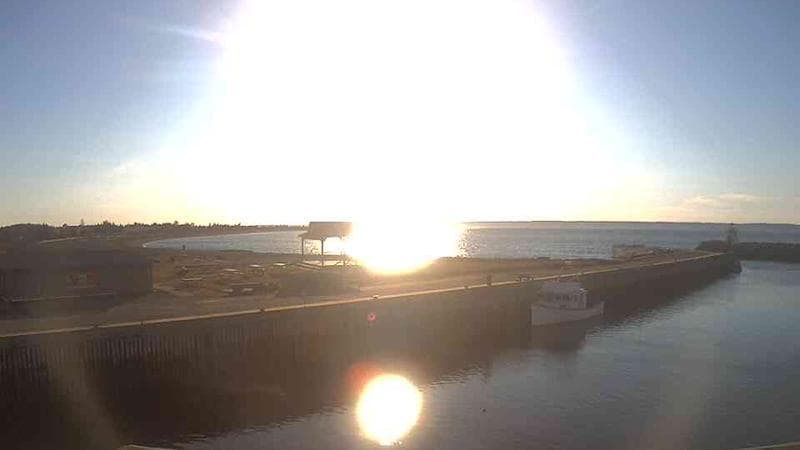 Belliveau Cove Harbour