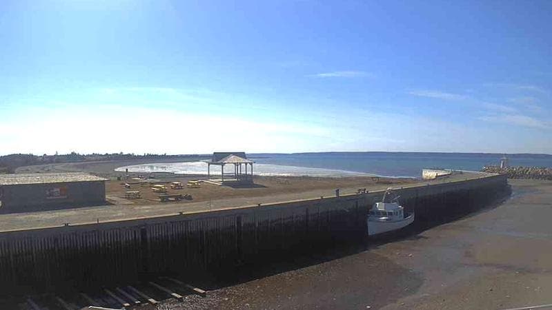 Belliveau Cove Harbour