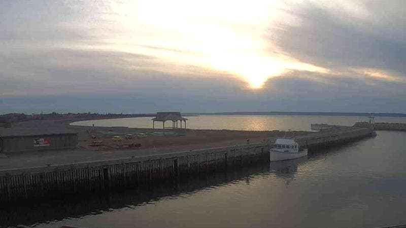 Belliveau Cove Harbour