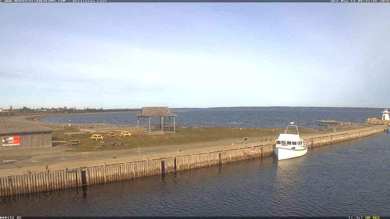 Belliveau Cove Harbour