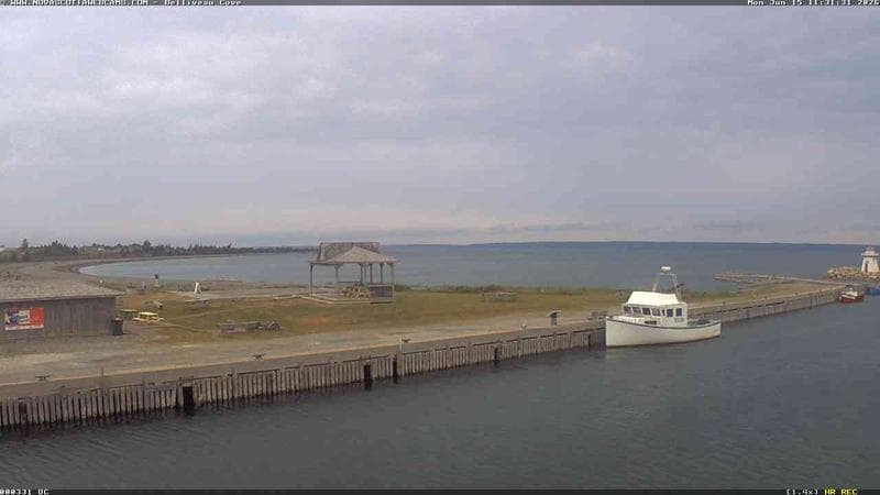 Belliveau Cove Harbour