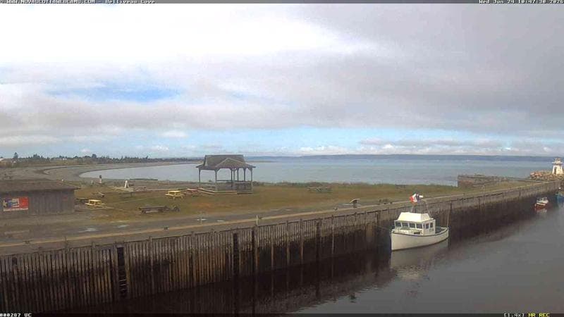 Belliveau Cove Harbour