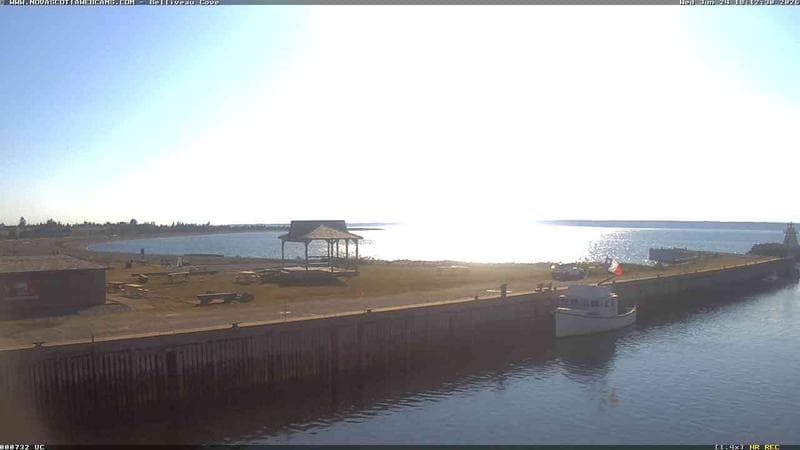 Belliveau Cove Harbour