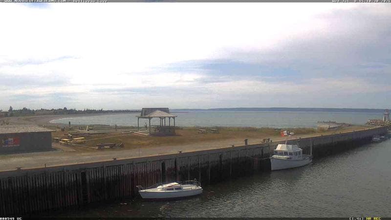 Belliveau Cove Harbour
