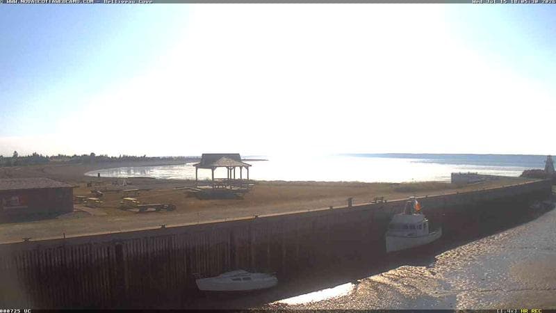 Belliveau Cove Harbour