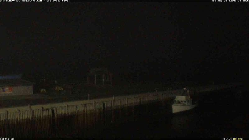 Belliveau Cove Harbour