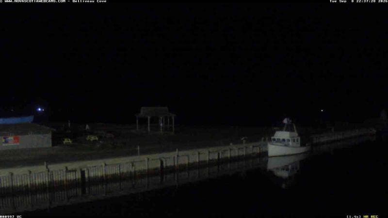 Belliveau Cove Harbour