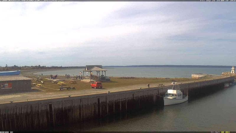 Belliveau Cove Harbour