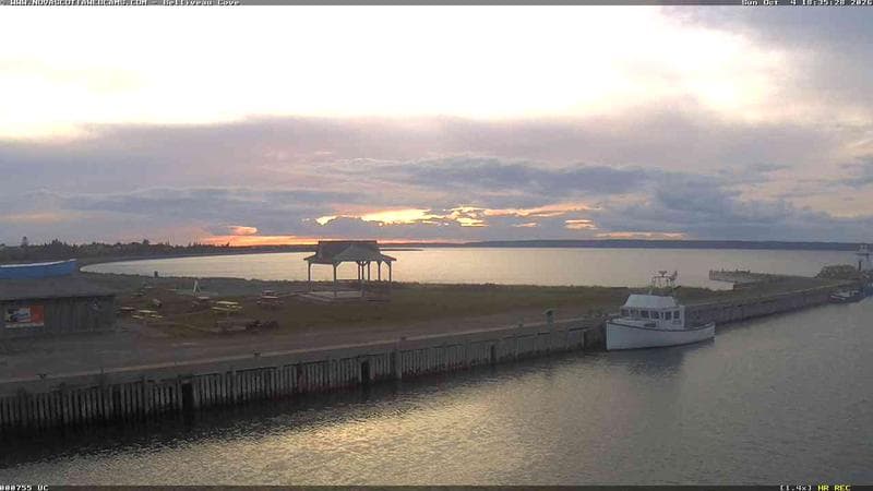 Belliveau Cove Harbour