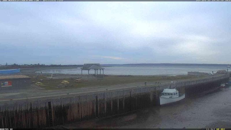 Belliveau Cove Harbour