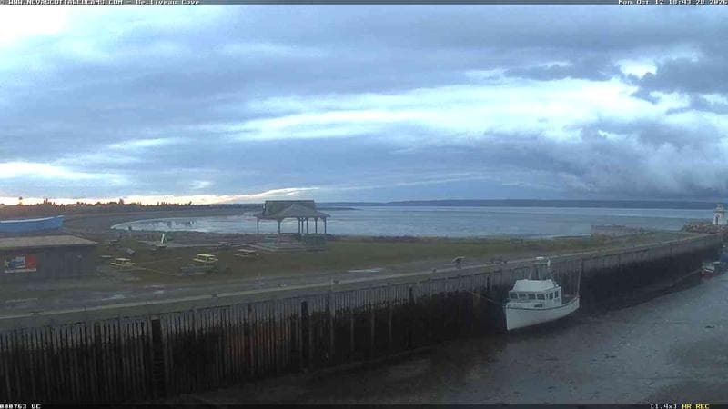 Belliveau Cove Harbour