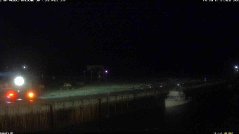 Belliveau Cove Harbour