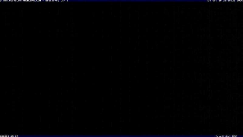 Wild Blueberry Cam 2