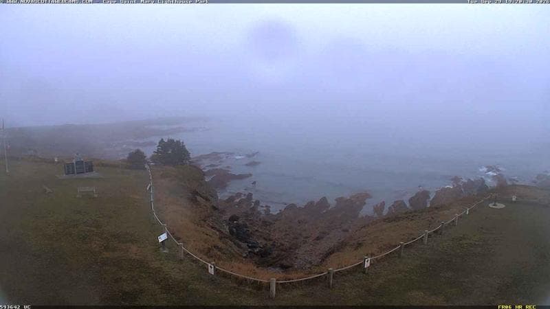 Cape St. Mary