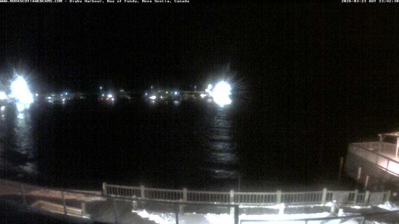 Digby Harbour