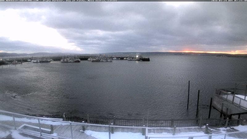 Digby Harbour