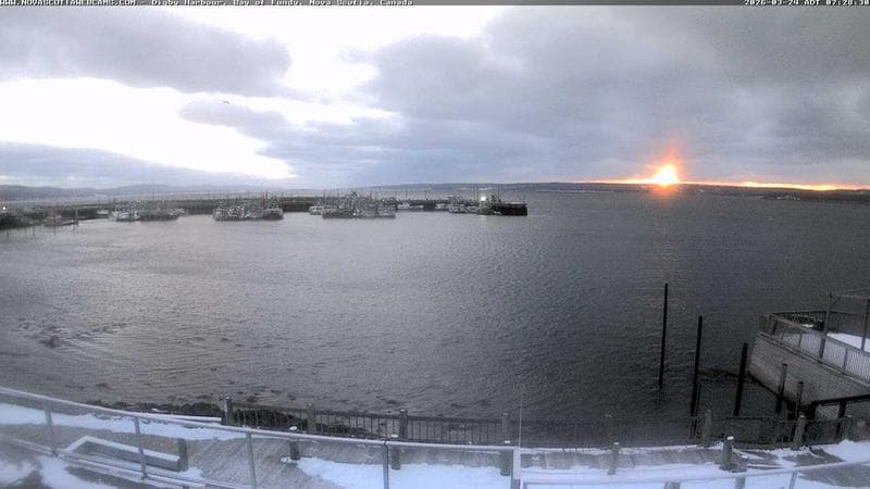 Digby Harbour