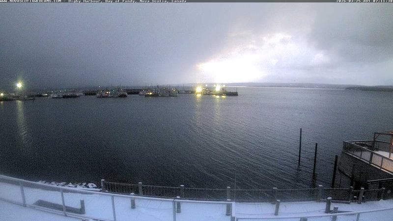 Digby Harbour