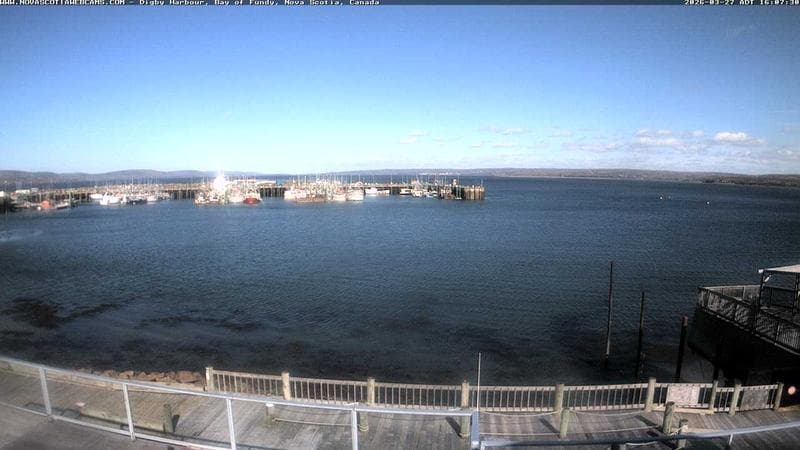 Digby Harbour