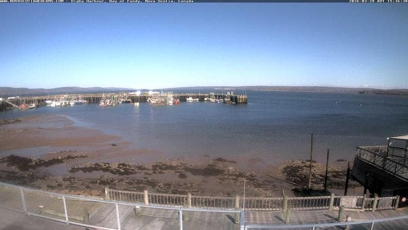 Digby Harbour