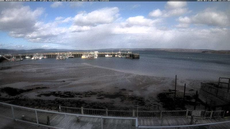 Digby Harbour