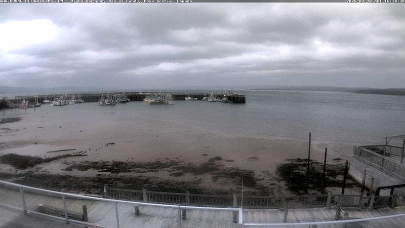 Digby Harbour