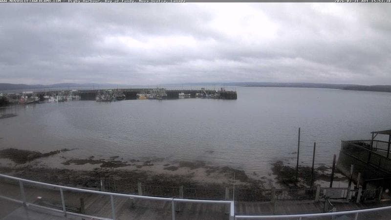 Digby Harbour