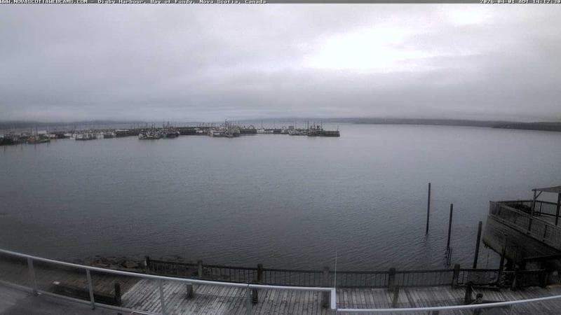 Digby Harbour