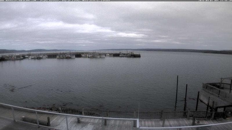Digby Harbour