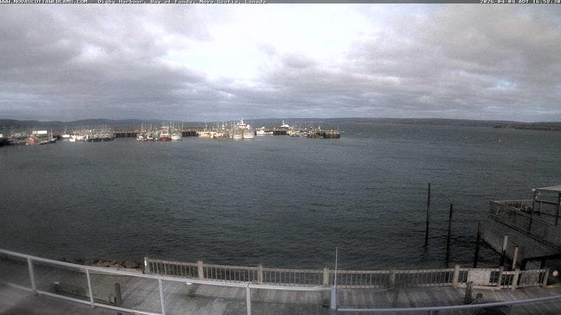 Digby Harbour