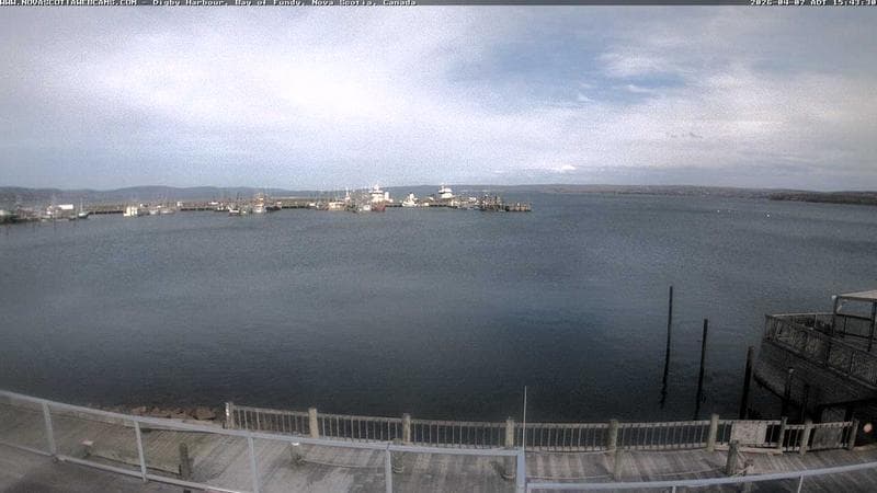 Digby Harbour
