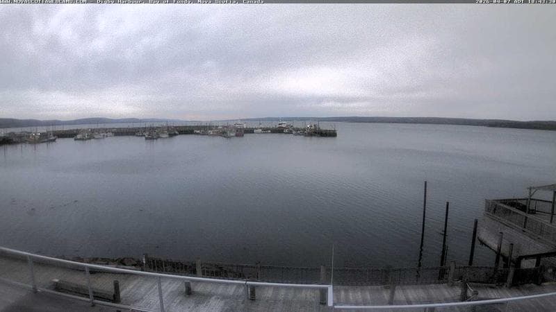 Digby Harbour