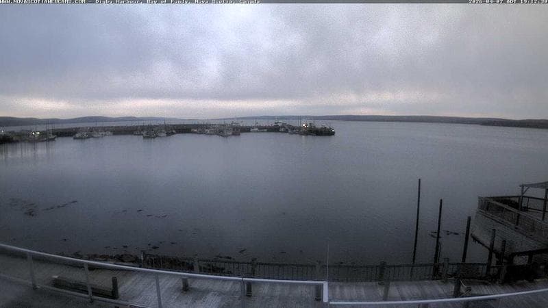 Digby Harbour