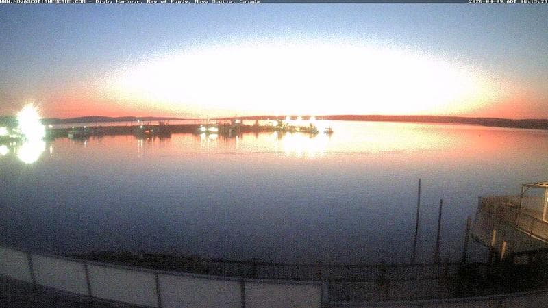Digby Harbour