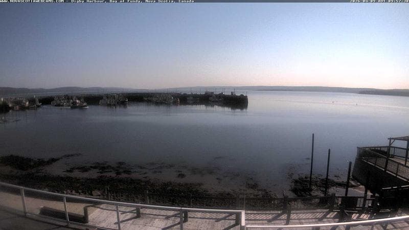 Digby Harbour